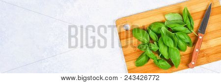 Green Fresh Home Basil, Spicy Herb On A Cutting Board With A Knife On A Gray Concrete Table