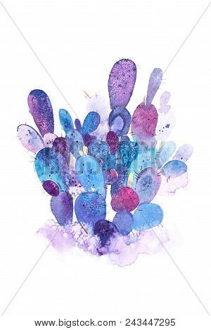 Watercolor Hand Drawn Spiky Cactus Bloom Flower.