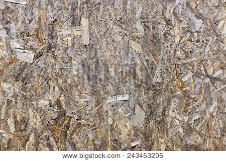 New Wood Chipboard Background, Texture Shavings, Sawdust