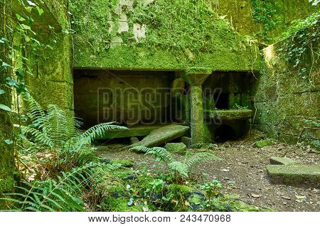 The Old Ruins Of A Galician Kitchen Called Lareira