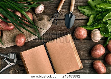 Gardening Tools And Fresh Vegetables Over Wooden Background. Potatoes, Garlic, Green Onions And Sorr