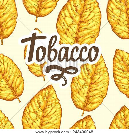 Seamless Pattern With Dried Yellow Leaves On White Background. Floral Pattern. Vector Illustration W