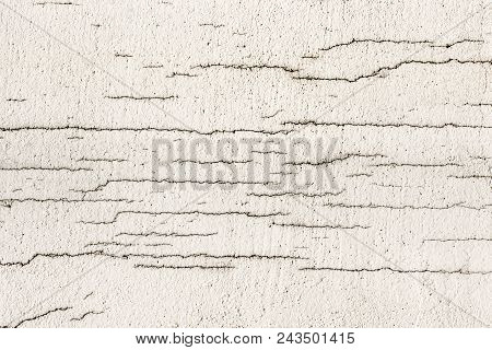 Texture Of White Dirty Cracked Wall. Small Straight Cracks. Direct Fracture On Painted Surface. Cell