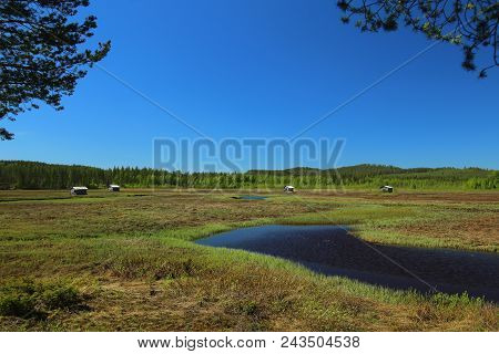 Svansele Dammaenger, A Former Water-meadow In Sweden. It Is Now A Nature Reserve