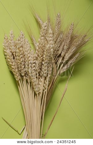 Grano