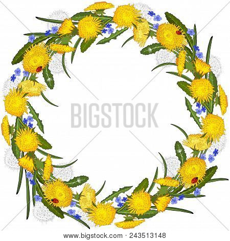 Floral Wreath Of Dandelions And Flowers Isolated On White. Excellent Print For Greeting Cards, Cloth