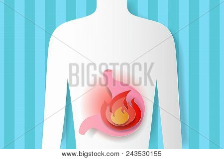 Stomach With Health Concept On The Blue Bacjground