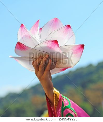 Hand Holds Up A Blossoming Lotus Flower