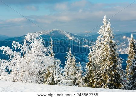 Morning Winter Calm Mountain Landscape With Beautiful Frosting Trees And Snowdrifts On Slope (carpat