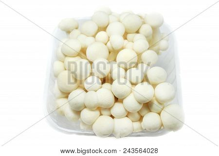 Top View Of Fresh Beech Mushroom Or Buna Shimeji Isolated On White Background. (hypsizygus Marmoreus