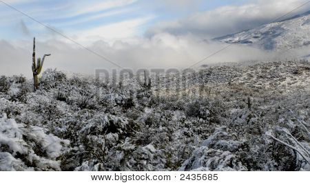 selten Schnee in der Wüste