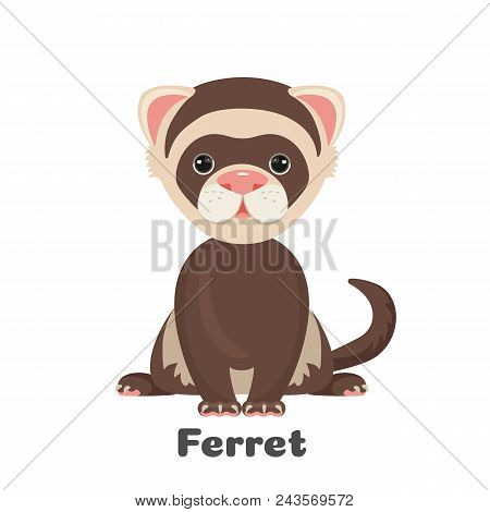 Ferret Animal With Wide Open Eyes Vector Illustration Isolated On White. Polecat Toy For Children Wi