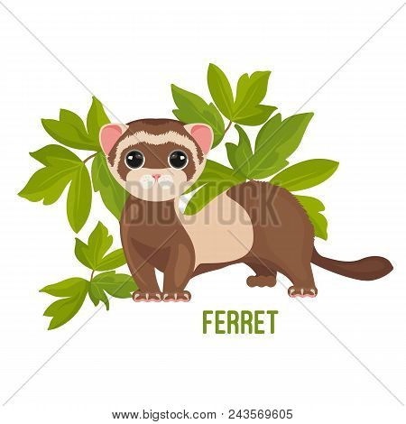 Ferret Animal With Wide Open Eyes In Green Leaves Vector Illustration Isolated On White. Polecat Toy