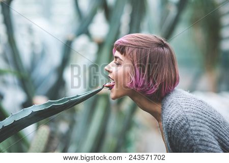 Beautiful Young Woman With Pink Hair And Piercing Touches Her Tongue With Agava Plant