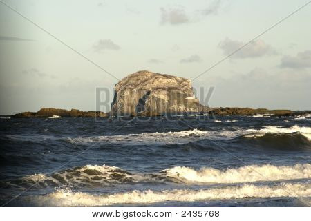Bass Rock, Skotsko