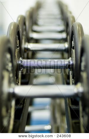 Row Of Dumbbells 1