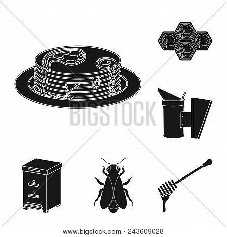 Apiary And Beekeeping Black Icons In Set Collection For Design.equipment And Production Of Honey Vec