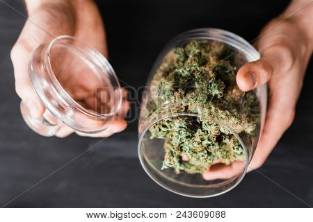 A Can With Fresh Buds Of Cannabis In The Hands Of A Man. The Concept Of Legal Marijuana Is Medical W