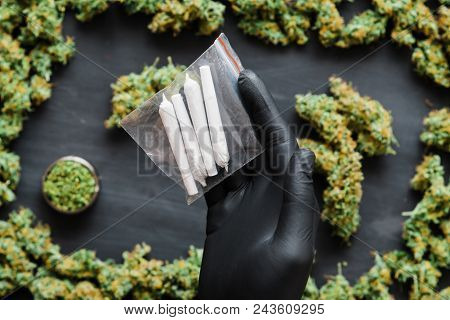 Grinder A Lot Ofx Marijuana, Fresh Buds Of Cannabis Many Weed. Copy Spase Copy-space