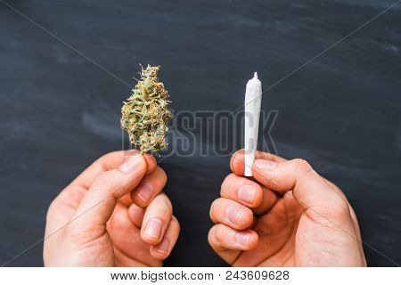 Top View Hand Of Man Rolled Joint Buds Of Marijuana, Unrolled Weed On A White Background Top View Cl