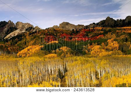 Red Aspen Below Peaks On Kebler Pass, Colorado