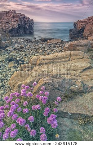 Rocky Beach Landscape At Dusk. Hovs Hallar, Sweden.