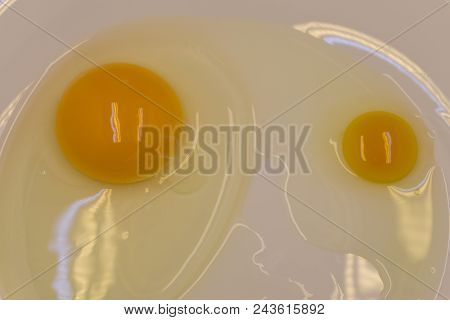 Ostrich Egg And Chicken Eggs On Straw