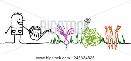 Vector Cartoon Gardener Watering Vegetables In Garden