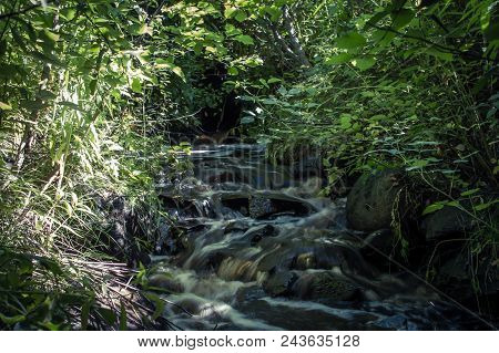 A Little Water Flow In The Forest.
