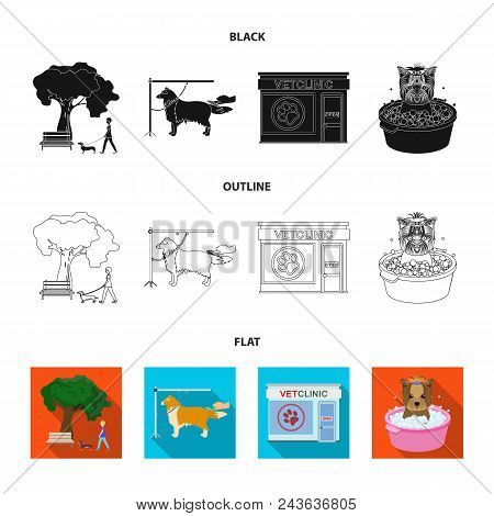 Walking With A Dog In The Park, Combing A Dog, A Veterinarian Office, Bathing A Pet. Vet Clinic And 