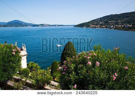 Maggiore Lake In Italy, Beautiful Garden With Oleander Bushes In Borromeo Island Isola Bella.