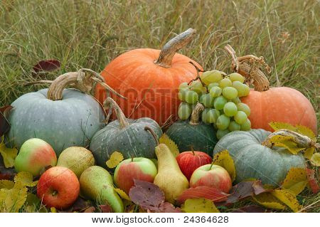 Raccolto di frutta e verdura fresca