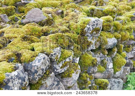 Traditional Stone Wall Covered With Moss At Borgholm On The Island Oland, Sweden