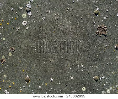 Aged Gray Asbestos Cement Board Texture With Moss And Four Screws. Slate Background For Design With 