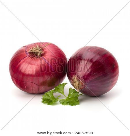 Rote Zwiebel-Knolle und frische Petersilie, isolated on white background