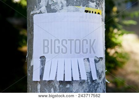 Blank White Paper With Tear Off Tabs