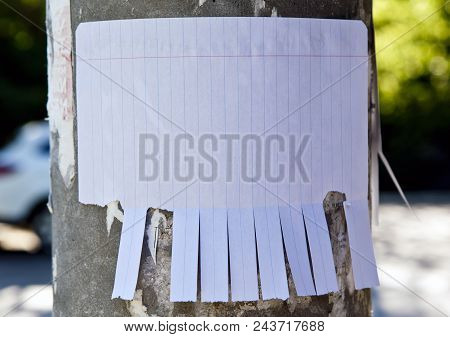 Blank White Paper With Tear Off Tabs