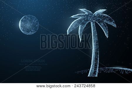 Vector Tropical, Palm, Tree. Abstract Wire Low Poy Palm Nature Summer Beach Silhouette Illustration 