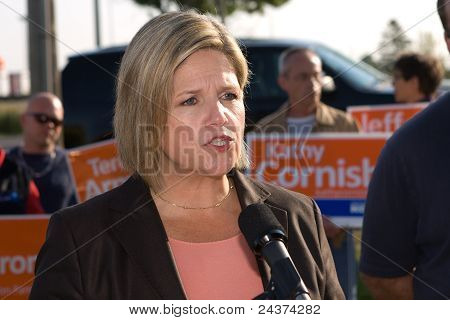 Andrea Horwath, eleição de Ontário de 2011