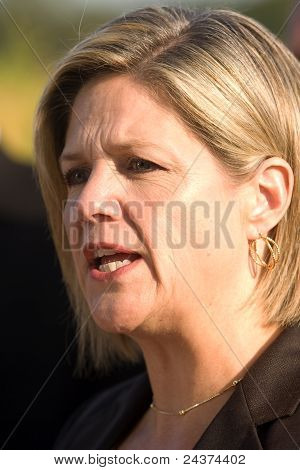 Andrea Horwath, eleição de Ontário de 2011