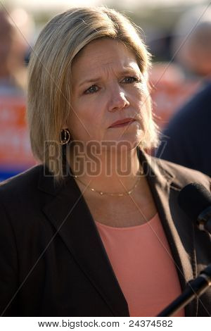 Andrea Horwath, eleição de Ontário de 2011