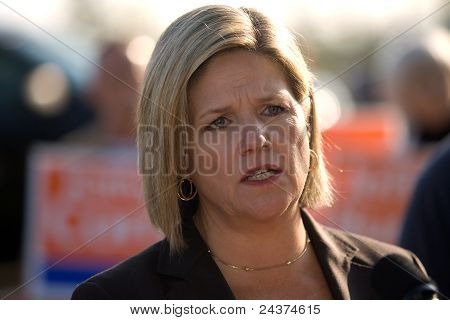 Andrea Horwath, eleição de Ontário de 2011