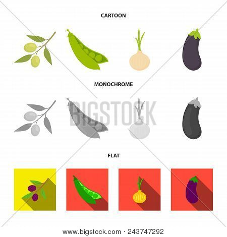 Olives On A Branch, Peas, Onions, Eggplant. Vegetables Set Collection Icons In Cartoon, Flat, Monoch