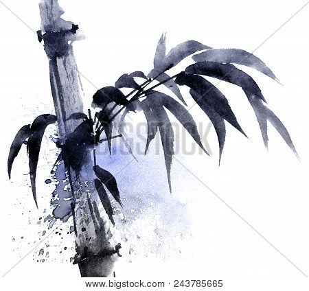 Watercolor And Ink Illustration Of Bamboo With Color Watersplashes. Oriental Traditional Painting In