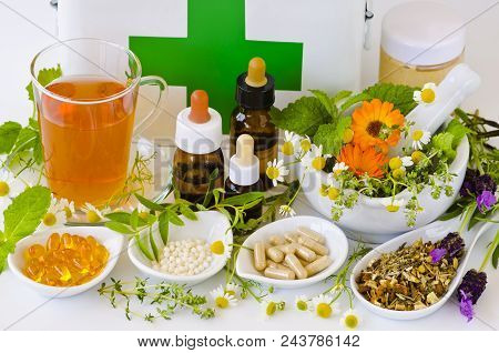 Alternative Medicine. Herbal Therapy. Rosemary, Mint, Chamomile, Thyme, Melissa, Lavender And Calend