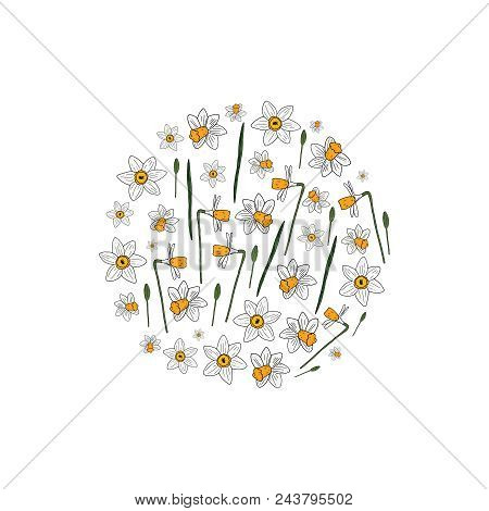 Vector Narcissus Circle For Greeting, Invitation, Wedding Cards Design. Floral Circle.