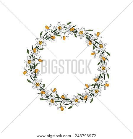 Vector Flower Wreath. Narcissus Frame For Greeting, Invitation, Wedding Cards Design.