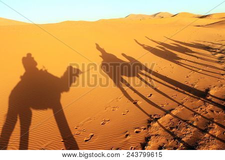 Camal Caravan On A Nomad Trip Through Sand Desert.