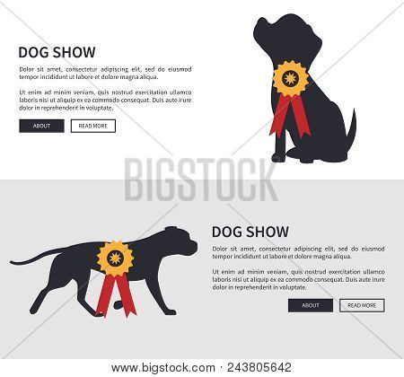 Dog Show Poster Web Pages, Collection Of Sites With Buttons And Headlines, Text Sample And Dog Show,
