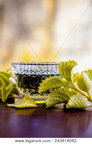 Green Colored Beneficial And Ayurvedic And Herbal Tea Of Carom Leaves Or Bishop's Weed Or Ajwain In 